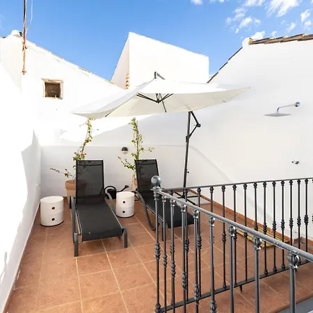 Apartment Spacious Bright Palace -1bedroom-terrace-center *